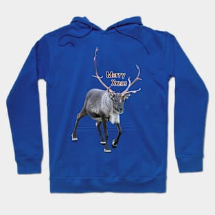 Santa Claus Reindeer Hoodie